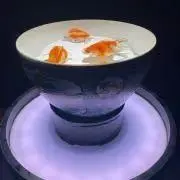 紫
