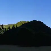 ぽぼん