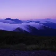 がじんん　【プロフご一読下さい】の画像