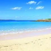 Natsunoasaの画像