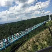 りのの画像