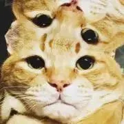モシャモシャ夫くんの画像