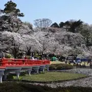 takkの画像