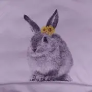 モグの画像