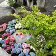 yubb@断捨離中の画像