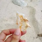 もち