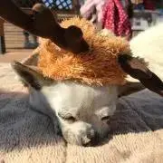 ⭐︎断捨離ママ⭐︎の画像