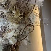 kの画像