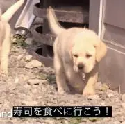 佐々木の画像