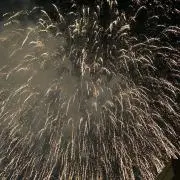 tyn9groの画像