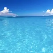 抹茶ソーダの画像