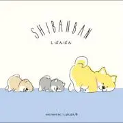 Sachiの画像