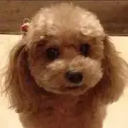 Win-Winの画像