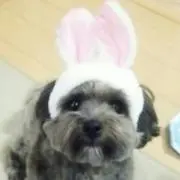 りさ