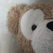 あーちゃんの画像