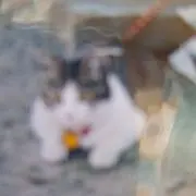 七  瀬  書  庫の画像