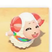 Okayの画像