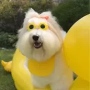 リの画像