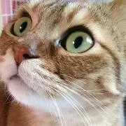 あけみ✽‎【※プロフ確認ください】の画像
