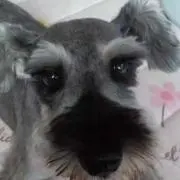 あぽチャン