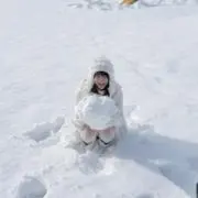 かの画像