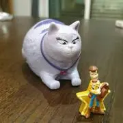 星野の画像