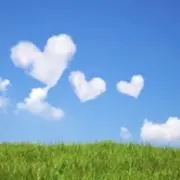 はなの画像