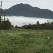 森の画像