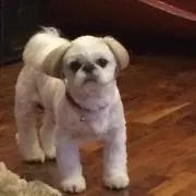 おと