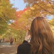 シアの画像