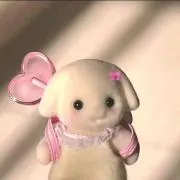 たけのこの画像