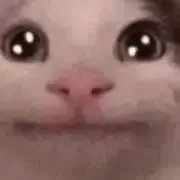 ティちゃん