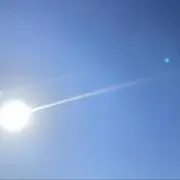 しじみの画像