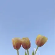 【プロフ必読】☺︎の画像