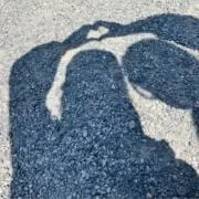 nabi_の画像