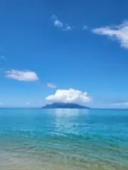 POPOの画像