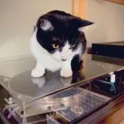 bakebakeの画像