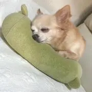 くるみるくの画像