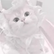 栞の画像