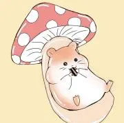 kinokoの画像