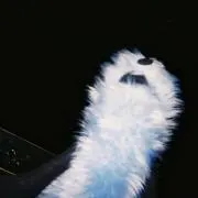 はるたの画像