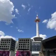 みつぽんの画像