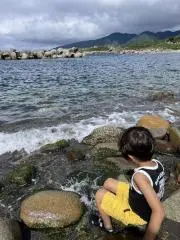 ちびうさの画像