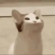 tt