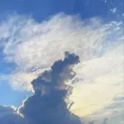 ゆきの画像