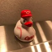 しりゅの画像