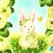 うさこの画像