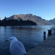 まさの画像