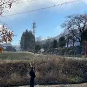 ロニーの画像