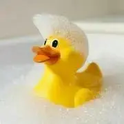 yonちゃんの画像